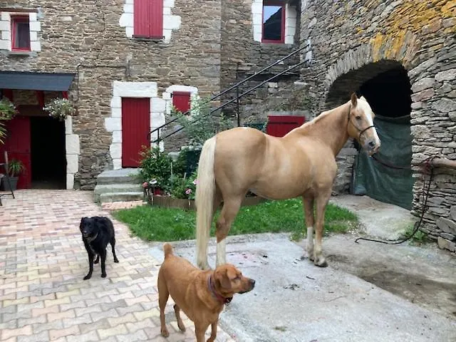L'Escapade De Jos , Chambres Et Table D'Hote Pont-de-Salars 0*,
