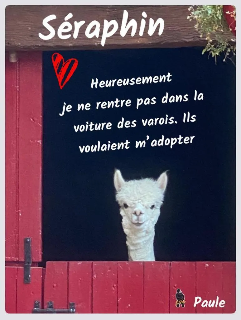 L'Escapade De Jos , Chambres Et Table D'Hote Pont-de-Salars Γαλλία